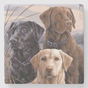 Labrador Retrievers Steinuntersetzer