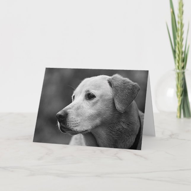 Labrador-Rückgabegerät für Welpenleder Karte (Vorderseite)