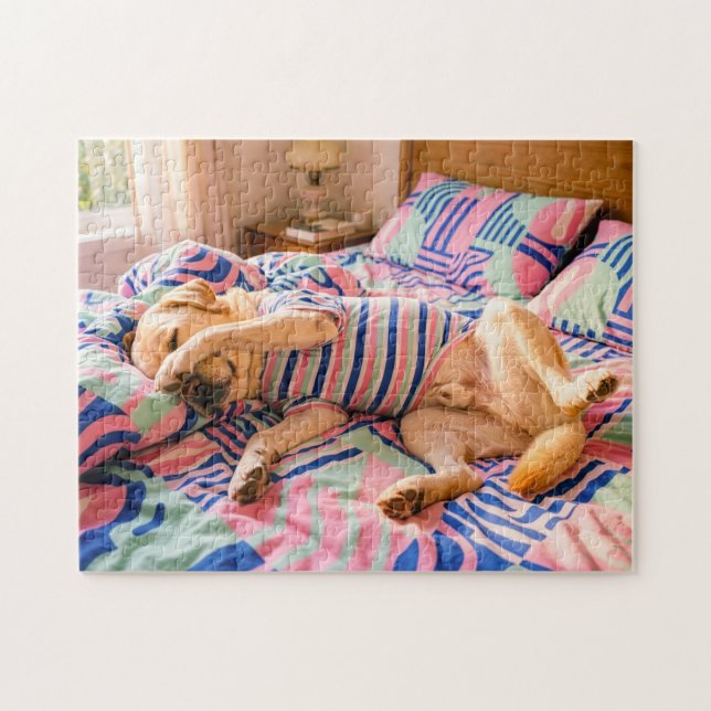 Labrador ruht auf farbenfroher Bettdecke (Horizontal)