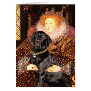 Labrador (schwarz) - Königin