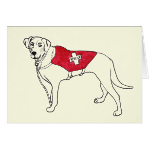 Labrador Secourt Chien dessin animal art obtenir b