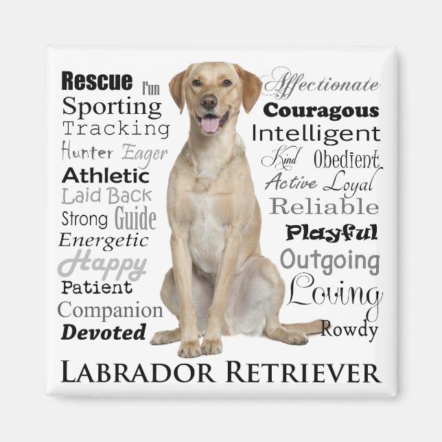 Labrador Traits Magnet (Vorne)