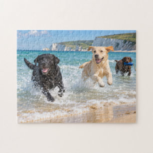 Labrador Trio Küstenstrand Planschspiel Design