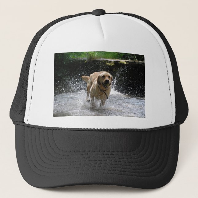 Labrador Truckerkappe (Vorderseite)