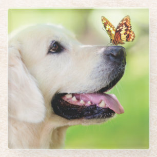 Labrador und Schmetterlingswirbel Kissen Glasuntersetzer