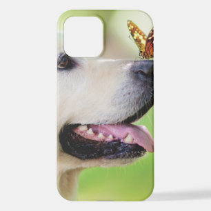 Labrador und Schmetterlingswirbel Kissen iPhone 12 Hülle