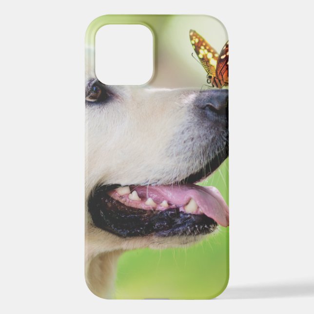 Labrador und Schmetterlingswirbel Kissen iPhone 12 Hülle (Rückseite)