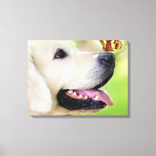 Labrador und Schmetterlingswirbel Kissen Leinwanddruck