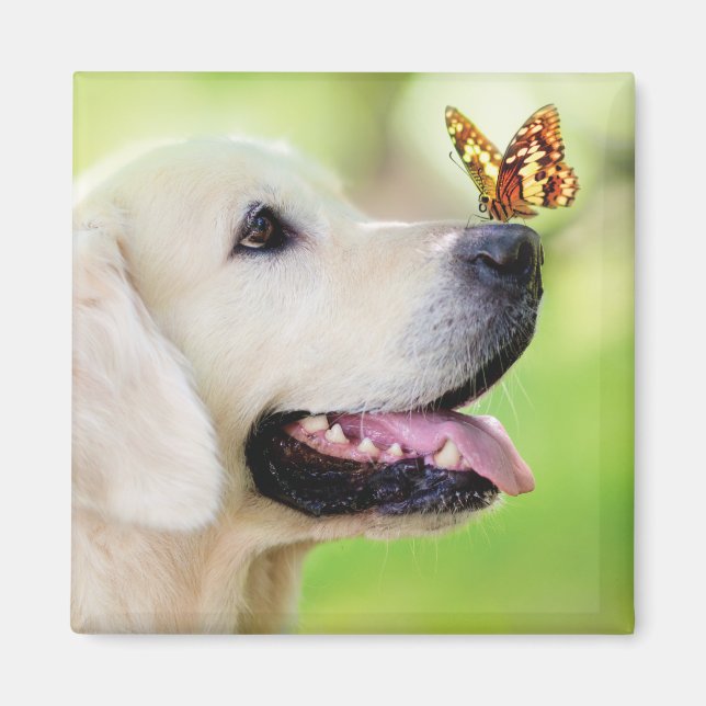 Labrador und Schmetterlingswirbel Kissen Magnet (Vorne)