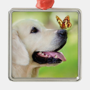 Labrador und Schmetterlingswirbel Kissen Ornament Aus Metall