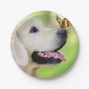 Labrador und Schmetterlingswirbel Kissen Pappteller