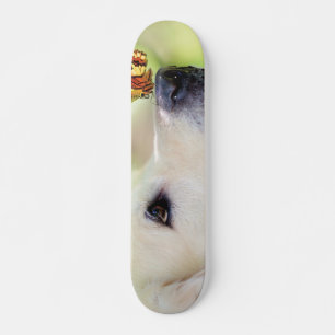 Labrador und Schmetterlingswirbel Kissen Skateboard