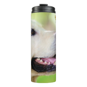 Labrador und Schmetterlingswirbel Kissen Thermosbecher