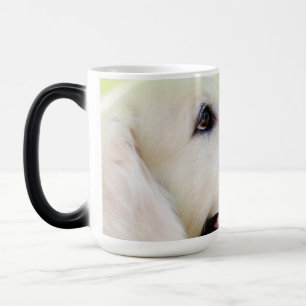 Labrador und Schmetterlingswirbel Kissen Verwandlungstasse