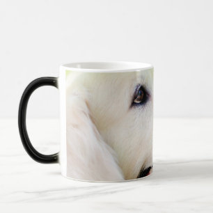 Labrador und Schmetterlingswirbel Kissen Verwandlungstasse