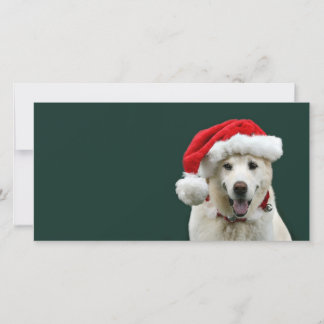 Labrador-Weihnachten Feiertagskarte