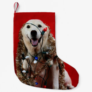 Labrador-Weihnachten Kleiner Weihnachtsstrumpf