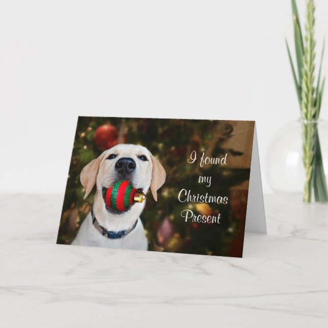 Labrador-Weihnachtsball Feiertagskarte (Vorderseite)