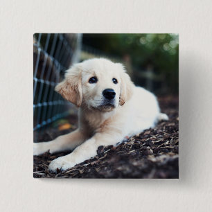 Labrador-Welpe, der im Garten spielt Button
