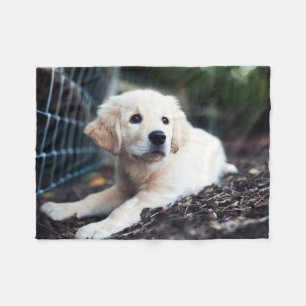Labrador-Welpe, der im Garten spielt Fleecedecke
