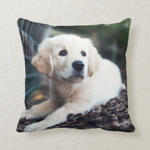 Labrador-Welpe, der im Garten spielt Kissen