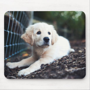 Labrador-Welpe, der im Garten spielt Mousepad