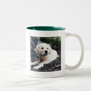 Labrador-Welpe, der im Garten spielt Zweifarbige Tasse