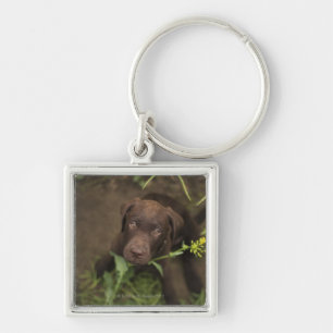 Labrador-Welpe, der im Gras sitzt Schlüsselanhänger