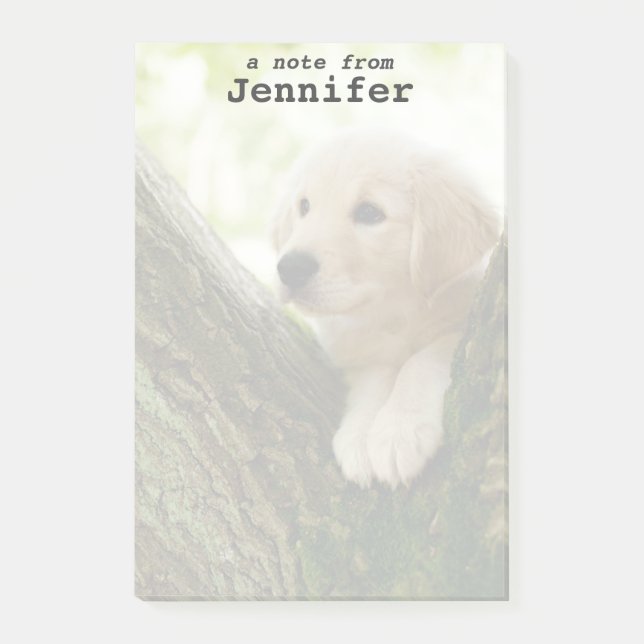 Labrador-Welpe, der in einer Waldeinstellung sitzt Post-it Klebezettel (Vorderseite)