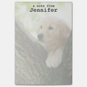 Labrador-Welpe, der in einer Waldeinstellung sitzt Post-it Klebezettel