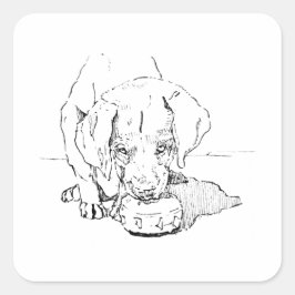 Labrador-Welpe für Hunde Liebhaber Quadratischer Aufkleber