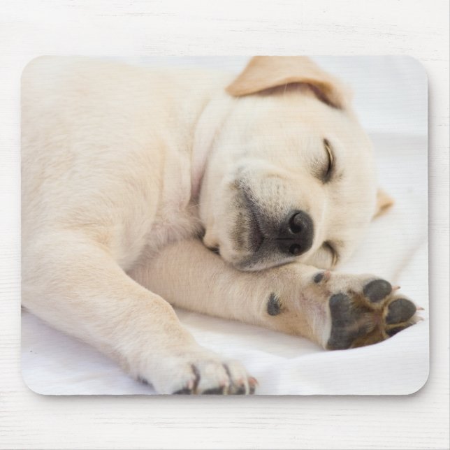 Labrador-Welpe Mousepad (Vorne)