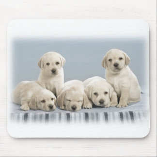 Labrador-Welpen Mousepad