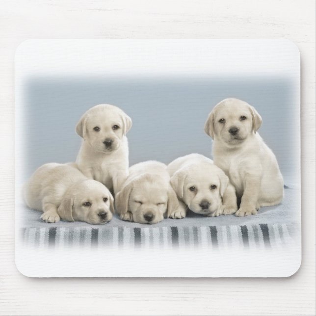 Labrador-Welpen Mousepad (Vorne)