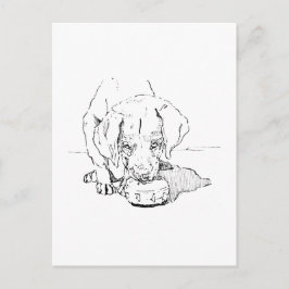 Labrador-Welpen-Postkarte für Hunde-Liebhaber Postkarte