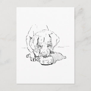 Labrador-Welpen-Postkarte für Hunde-Liebhaber Postkarte