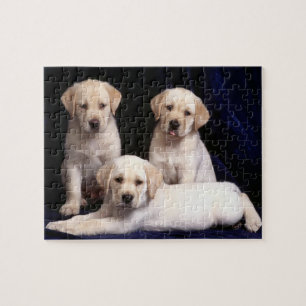 Labrador-Welpen-Puzzlespiel