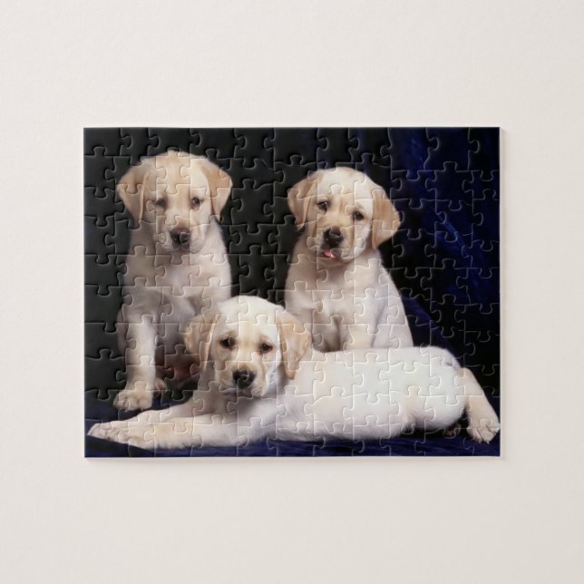 Labrador-Welpen-Puzzlespiel (Horizontal)