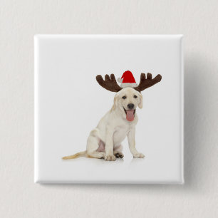 Labrador-Welpen-tragende Geweihe Button