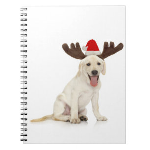 Labrador-Welpen-tragende Geweihe Notizblock