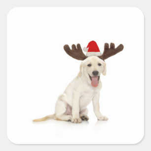 Labrador Welpenhalter Quadratischer Aufkleber
