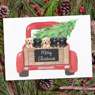 Labrador Welppies Personalisiert Red Christmas Tru Feiertagskarte
