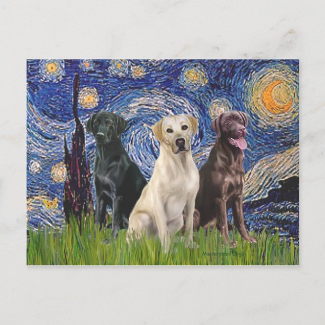 Labradoren (3) - Sternennacht Postkarte (Vorderseite)