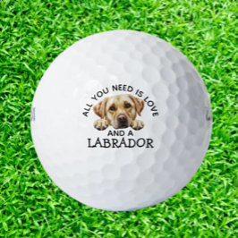 Labradors und  Golfball