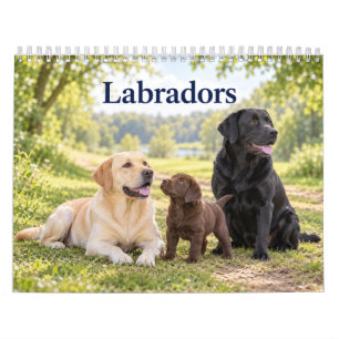 Labradors und Labrador-Welpen Kalender