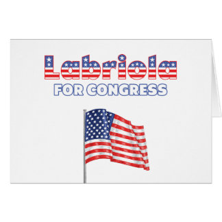 Labriola für Kongress-patriotische amerikanische