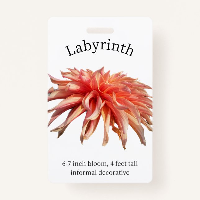 Labyrinth Dahlia ID Abzeichen Ausweis (Vorderseite)