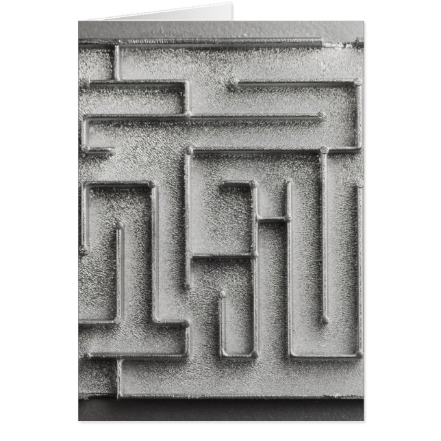 Labyrinthe argenté (Devant)