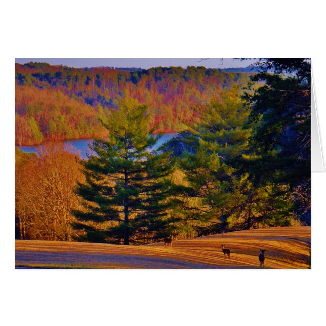 Lac Deer & Mt (Devant horizontal)