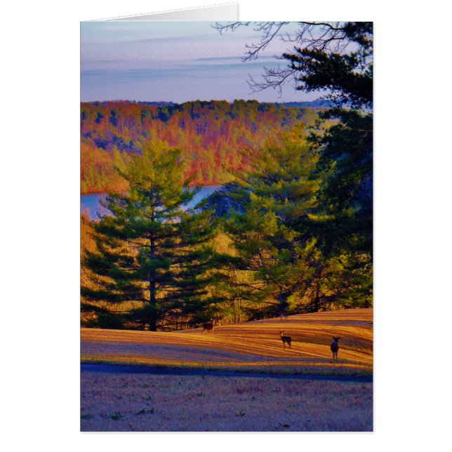 Lac Deer & Mt (Devant)